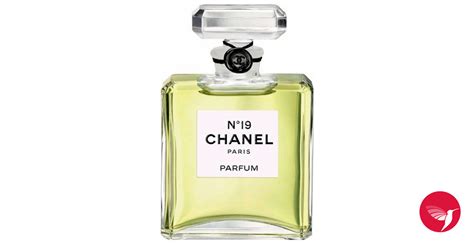 coco chanel no 19|chanel no 5 release date.